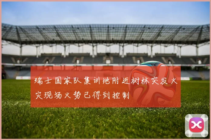 瑞士国家队集训地附近树林突发火灾现场火势已得到控制