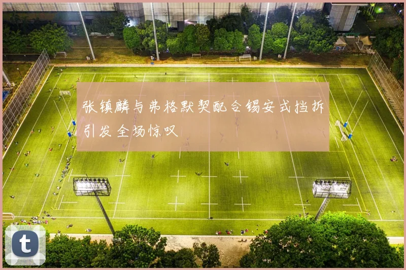 张镇麟与弗格默契配合锡安式挡拆引发全场惊叹